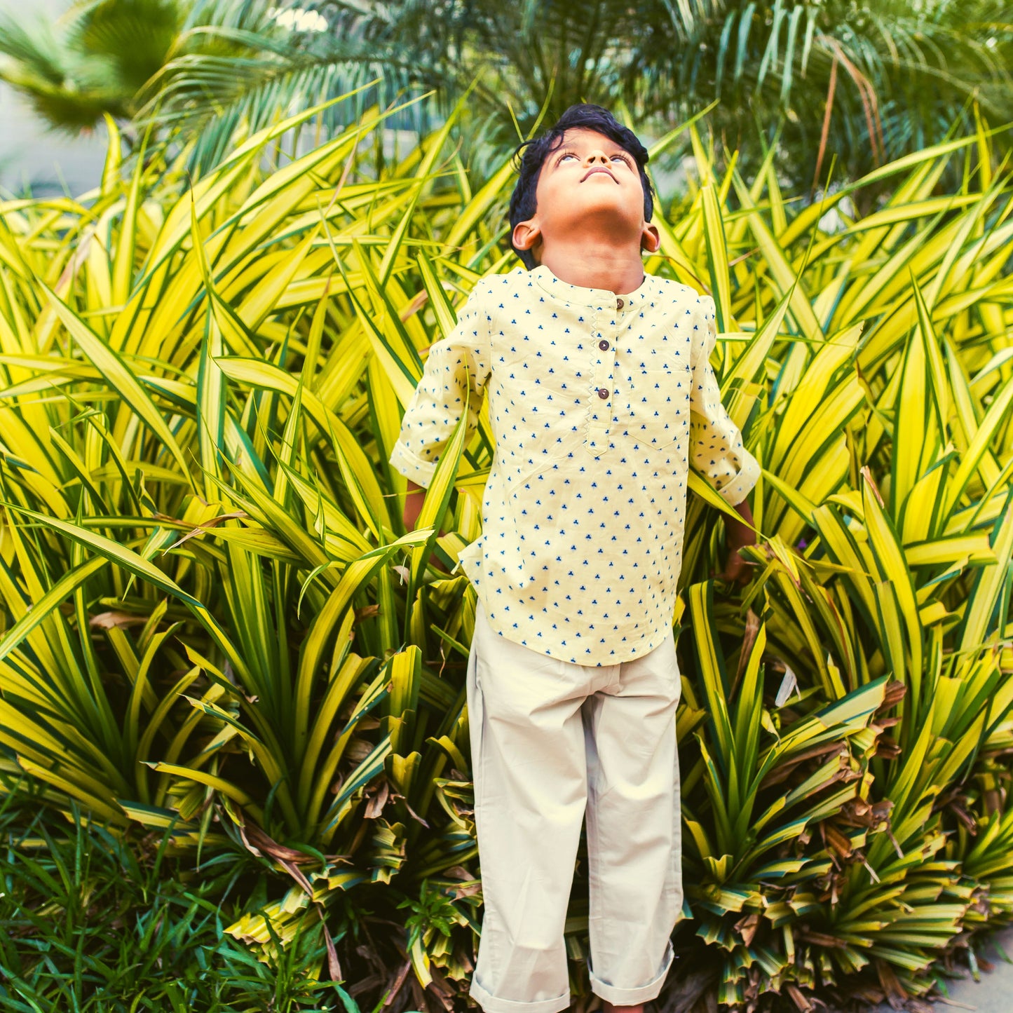 Boys Cotton Shirt Full Sleeves Clover Print, Lemon - 2 yrs to 12 yrs - Front